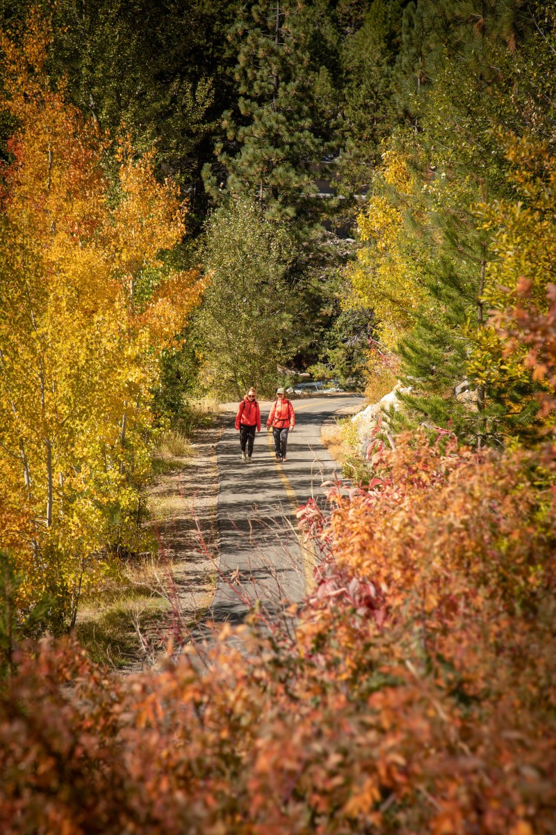 Lake Tahoe fall colors on the Truckee River Bike Trail from Palisades Tahoe to Tahoe City.