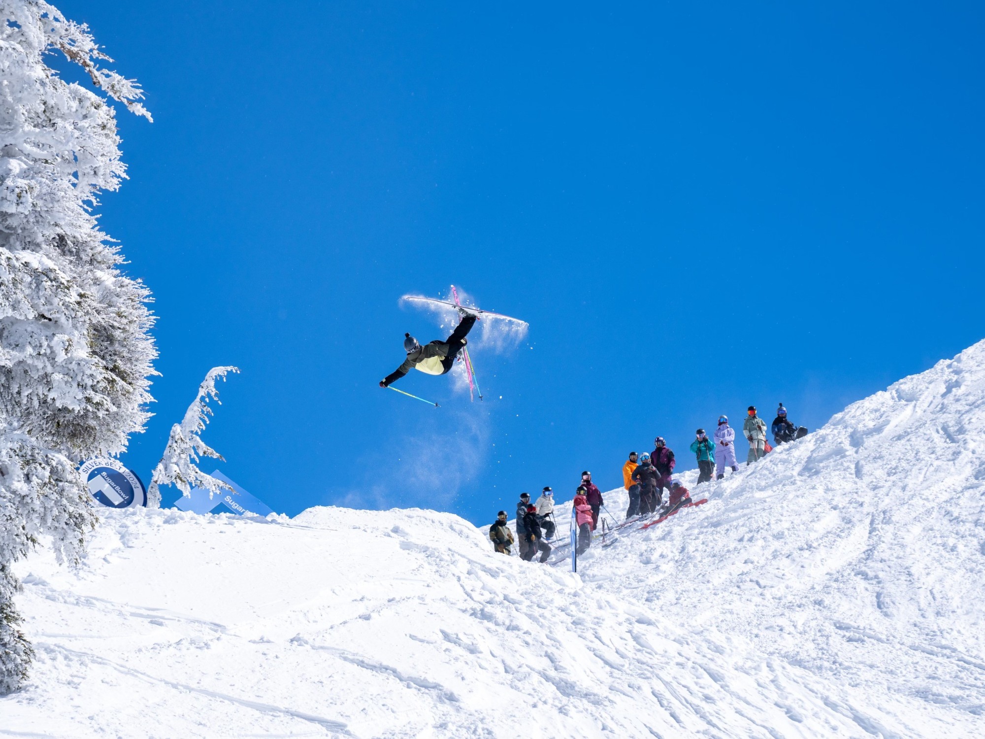 __wf_reserved_inherit